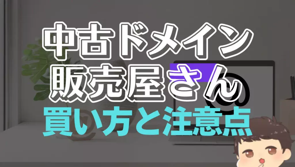 中古ドメイン販売屋さんでの買い方！先取りのコツと注意点